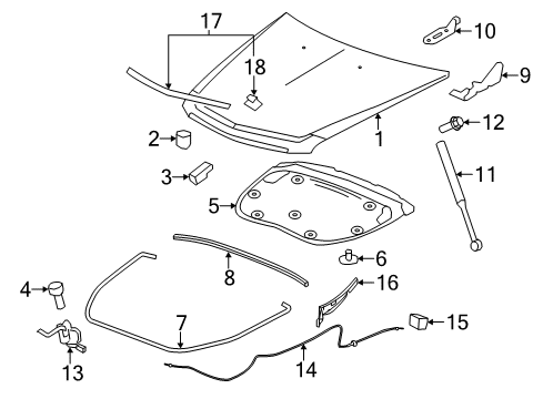 2011 Cadillac CTS Hood & Components, Exterior Trim Diagram