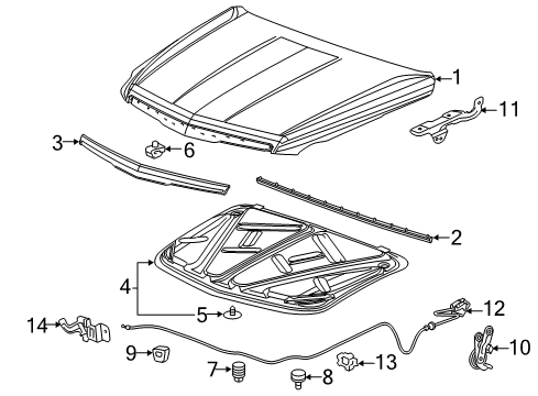 2017 Cadillac Escalade Hood & Components Diagram