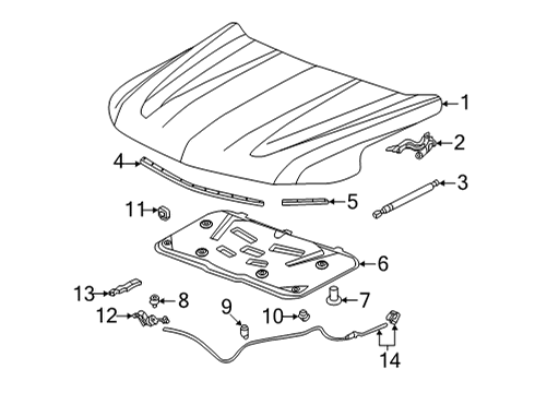 2021 Chevy Tahoe Hood & Components Diagram