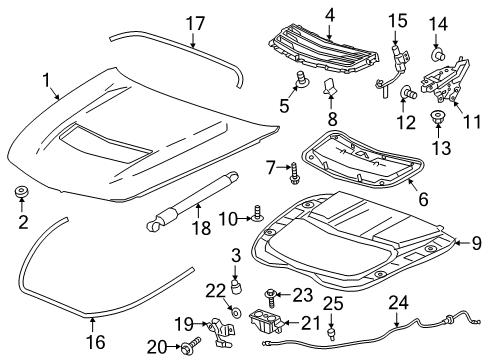 2016 Cadillac CTS Hood & Components Diagram
