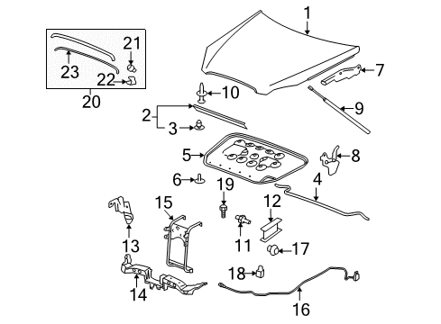 2011 Buick Lucerne Hood & Components, Exterior Trim Diagram