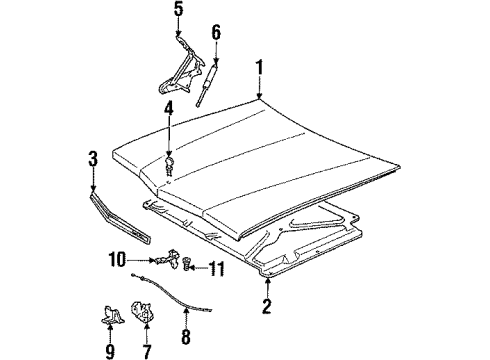 1985 Cadillac Eldorado Hood & Components Diagram