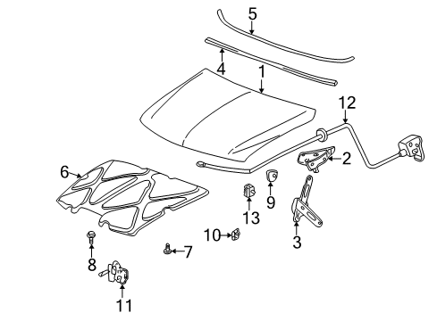 2005 Chevy Silverado 1500 Hood & Components, Body Diagram 2 - Thumbnail