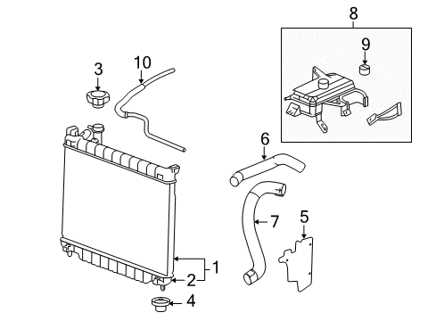 Hose, Radiator Outlet (Lower) Diagram for 19258420