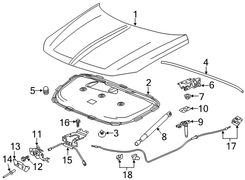 2018 Buick Regal Sportback Hood & Components Diagram
