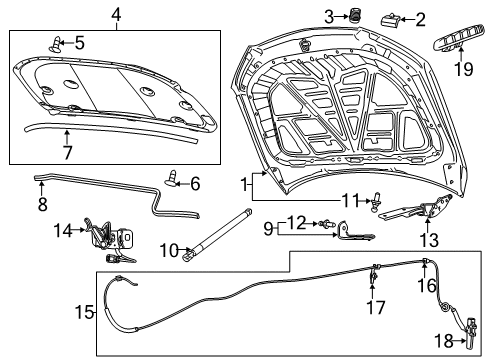 2014 Chevy SS Hood & Components Diagram