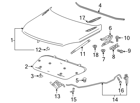 2015 Buick Regal Hood & Components, Exterior Trim Diagram