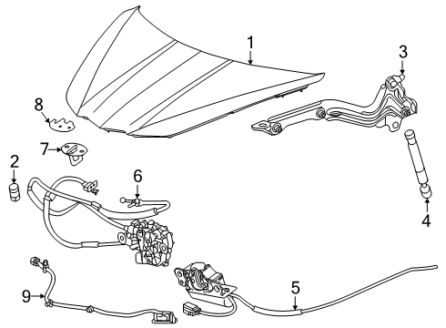 2025 Chevy Corvette Hood & Components Diagram