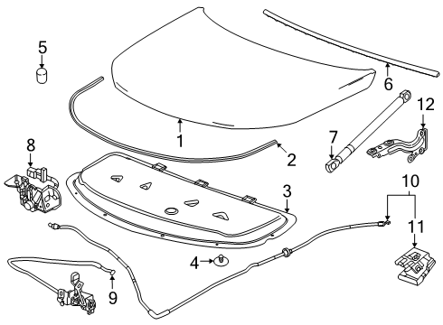 2024 Chevy Traverse Hood & Components Diagram