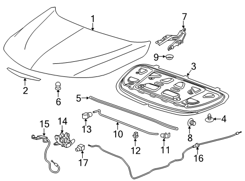 2025 Chevy Malibu Hood & Components Diagram