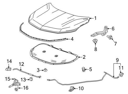 2025 Chevy Equinox Hood & Components Diagram
