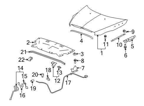 2009 Buick Enclave Hood Diagram for 19354884