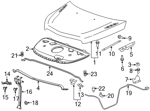 2014 Buick Enclave Hood & Components Diagram