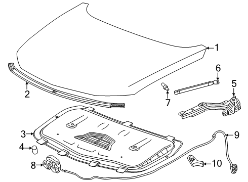 2025 Cadillac OPTIQ Hood & Components Diagram
