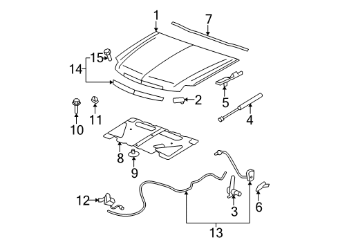 2008 Cadillac Escalade Exterior Trim - Hood Diagram