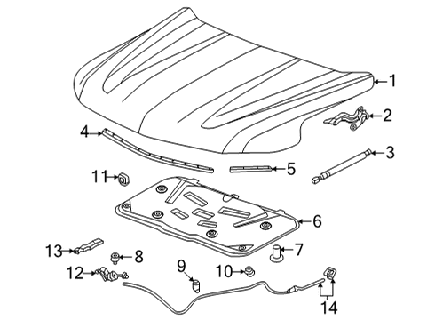 2024 Chevy Suburban Hood & Components Diagram