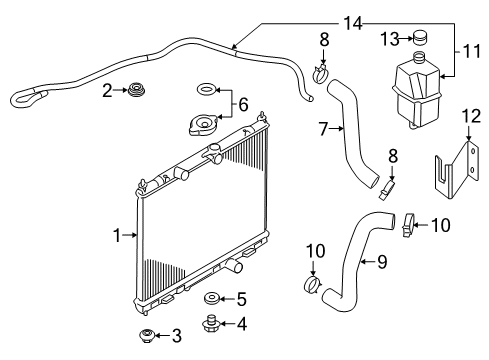 2015 Chevy City Express Drain Plug, Lower Diagram for 19316314