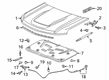 Chevy Silverado 1500 Hood Diagram - 84610675