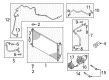 Chevy City Express A/C Compressor Clutch Diagram - 19317014