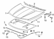 Cadillac Hood Diagram - 84216120