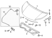 Chevy City Express Hood Diagram - 19317070
