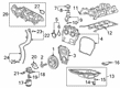Chevy Oil Drain Plug Diagram - 11602884