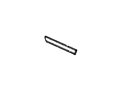 Chevy 10119254 Body Side Molding