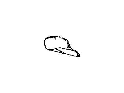 10078400 GM Protect Shield Illustration 1 of 1