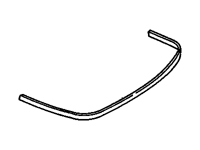 Chevy 22569577 Molding