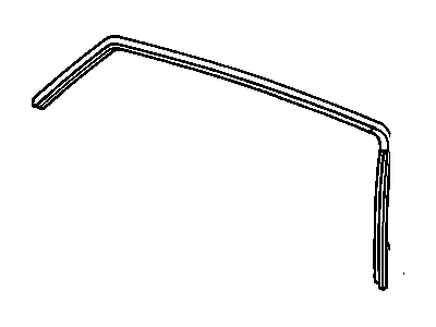 Cadillac 60 Special Door Seal - 25617411