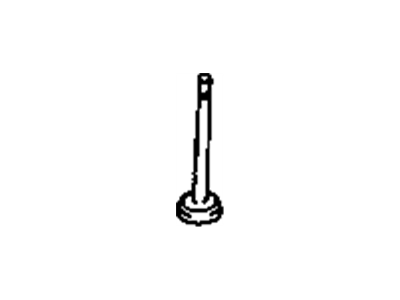 Pontiac Exhaust Valve - 55558728