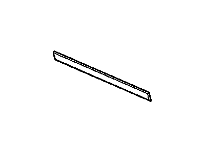 Oldsmobile 20495944 Lower Molding