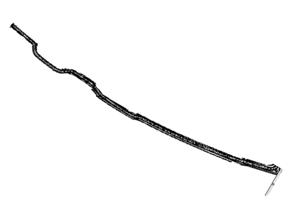 Chevy 15699867 Outer Panel Weatherstrip