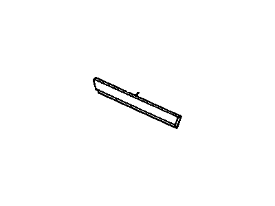 Chevy 10119261 Body Side Molding