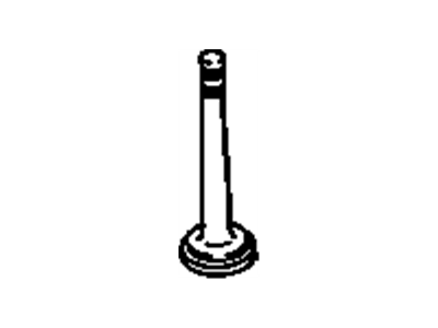 GMC Intake Valve - 10241743