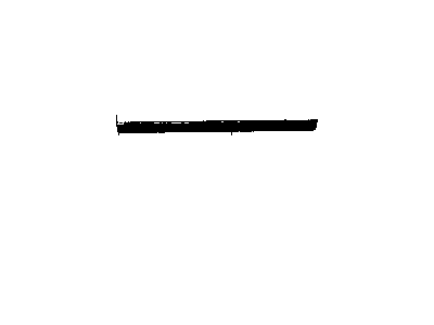 Chevy 9635052 Body Side Molding