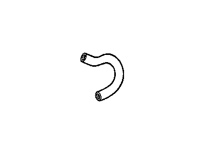 Chevy 10135661 By-Pass Hose