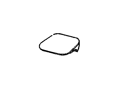 Chevy 10137733 Door