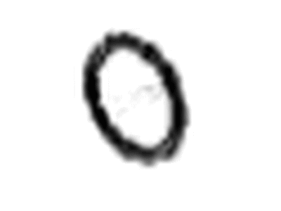 GM 19208088 Ring, Transfer Case 19208088 GM Ring, Transfer Case Illustration 1 of 1