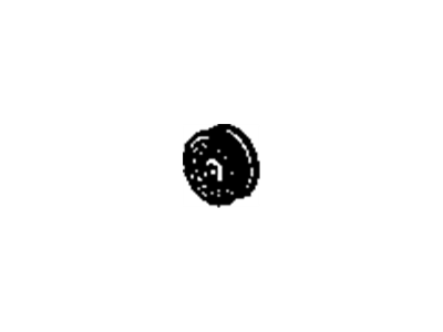 Buick Commercial Chassis Water Pump Pulley - 10215266