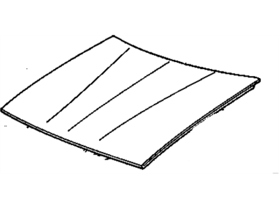 Chevy 22545710 Hood
