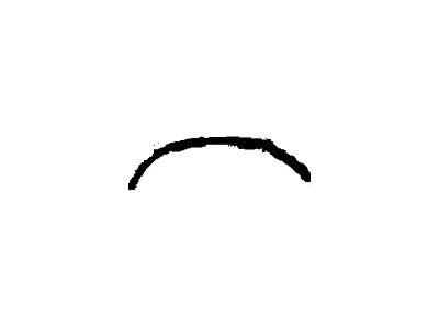 GM 9635114 Wheel Opening Molding 9635114 GM Wheel Opening Molding Illustration 1 of 1