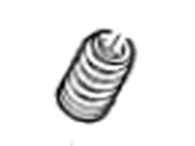 Chevy 12691120 Valve Springs