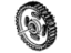GM 10083170 Camshaft Gear GM 10083170 Camshaft Gear
