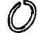 GM 24273900 Ring, Transmission Rear Ring Gear