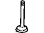 GM 10040226 Intake Valve GM 10040226 Intake Valve