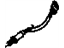 GM 12565414 Sensor, Computer Control Sensors GM 12565414 Sensor, Computer Control Sensors