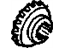 GM 12543179 Side Gear