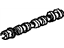 GM 12566671 Camshaft GM 12566671 Camshaft