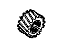 GM 19209010 Gear, Transmission First/Reverse Gear GM 19209010 Gear, Transmission First/Reverse Gear